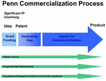 Commercialization Process