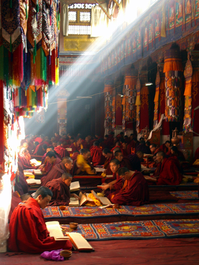 The Monks of Drepung