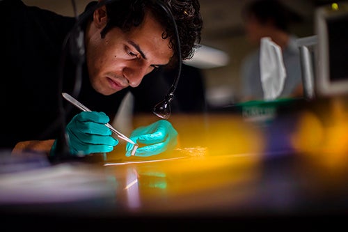 researcher working with nanocardboard