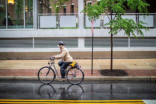 penn staff member biking to work