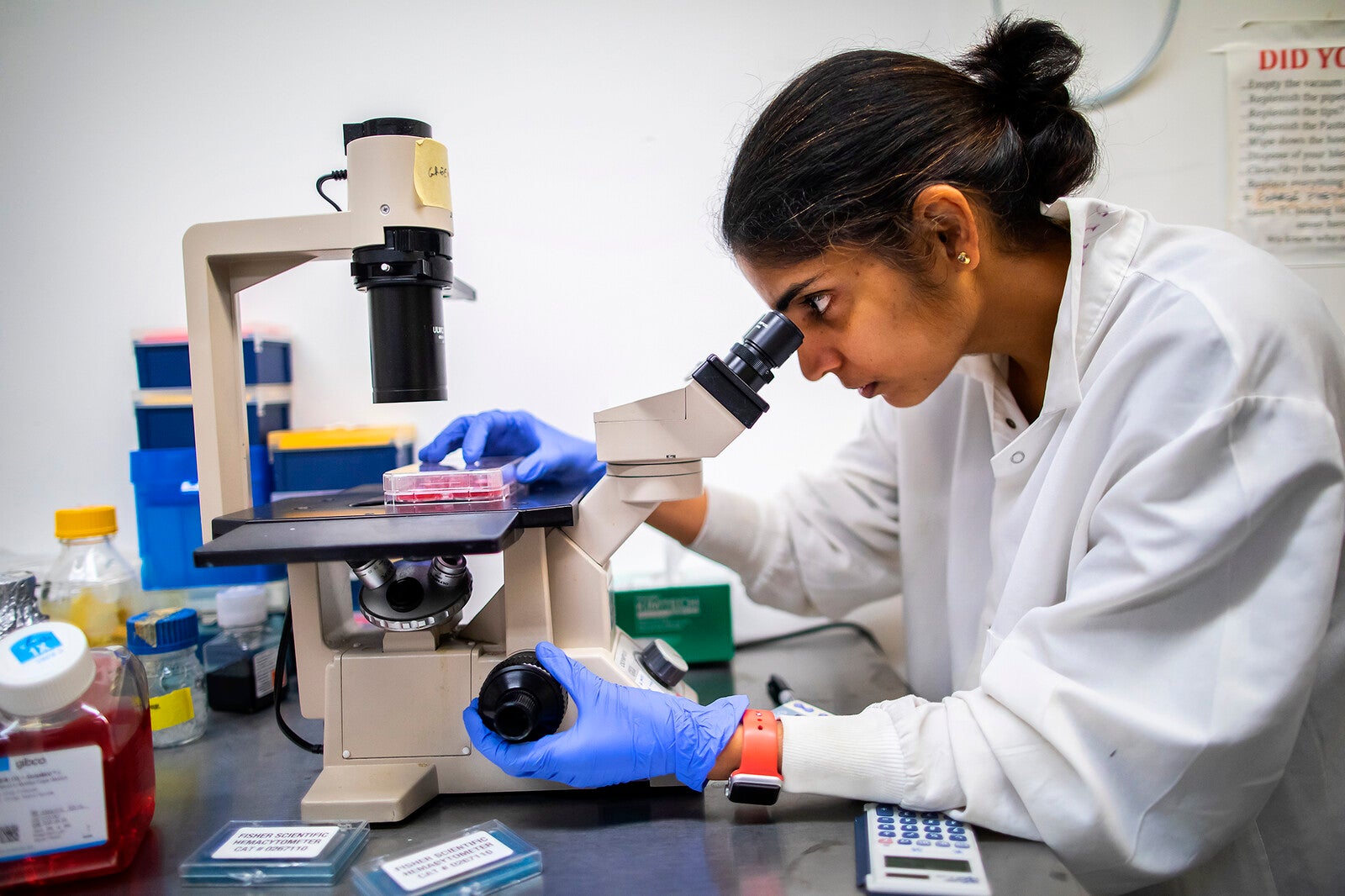 researcher using a microscope