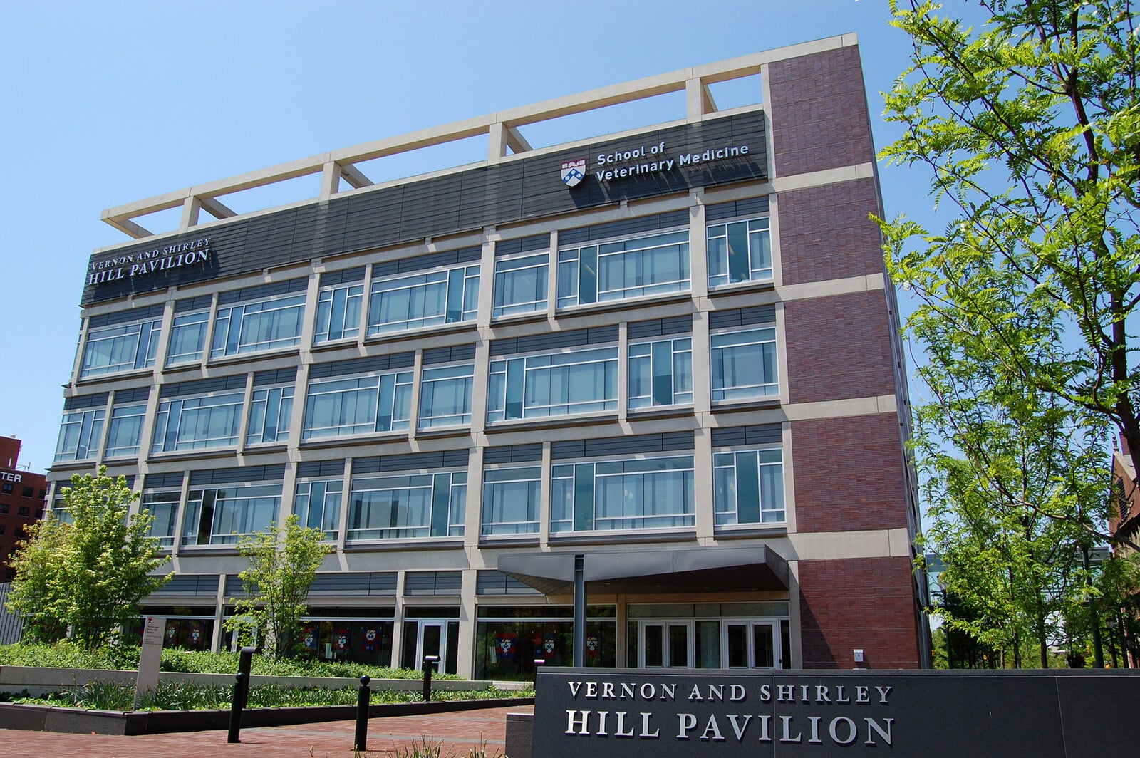 vet school hill pavilion