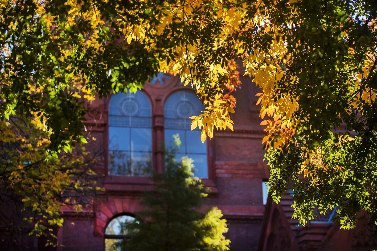 fisher fine arts library behind colorful fall foliage