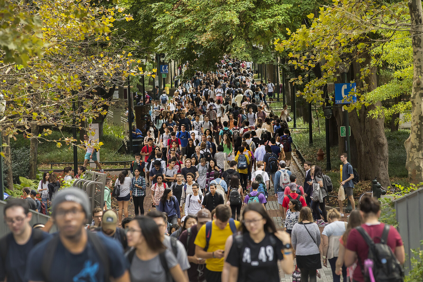 students walking on a crowded locust walk
