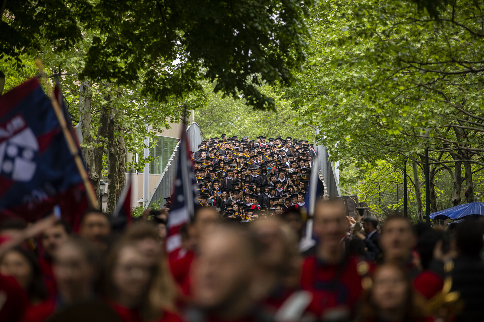 ​​​​​​​The commencement procession winds its way through Penn’s tree-lined campus.