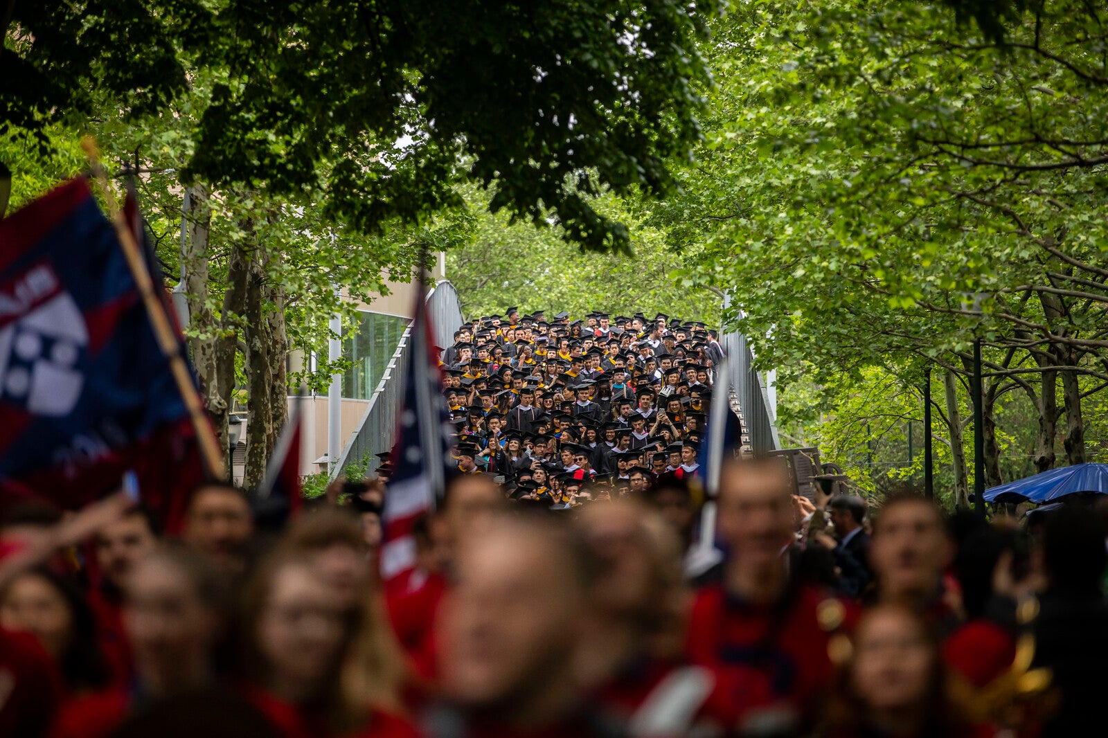 The commencement procession winds its way through Penn’s tree-lined campus.