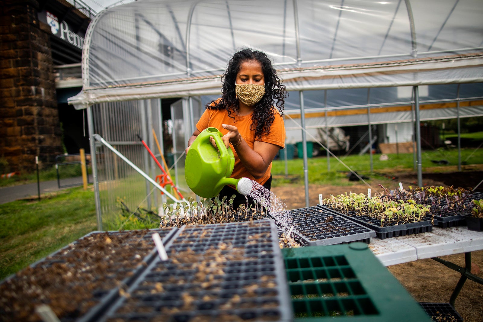 student watering plants at orchard
