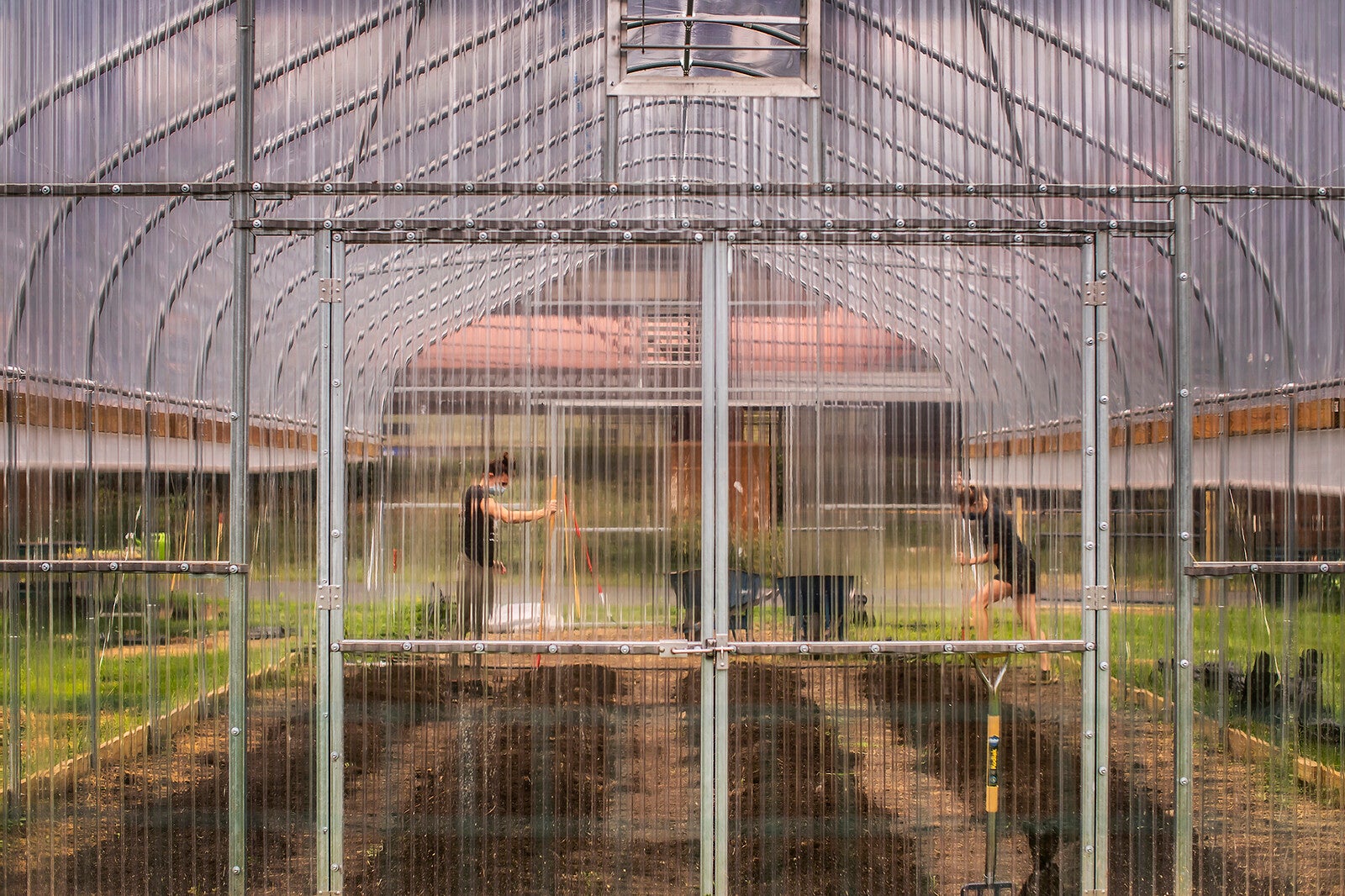 penn park greenhouse