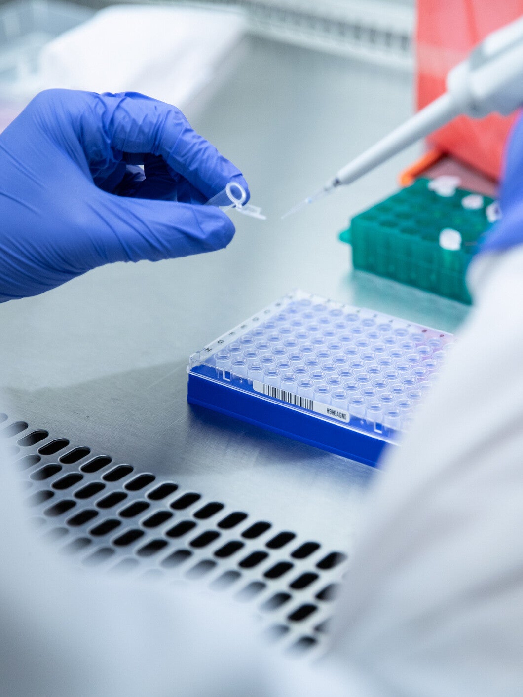 gloved hand using a pipette in lab