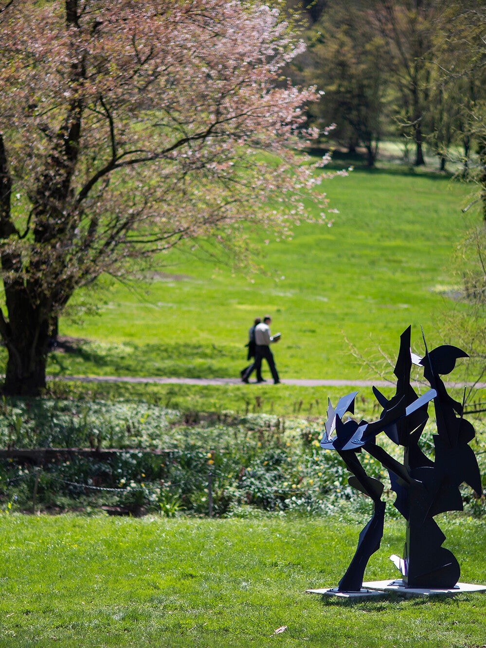 morris arboretum