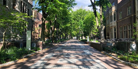 Locust walk empty