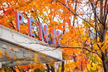 Penn bookstore sign