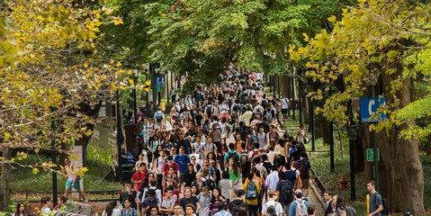 students on Locust walk