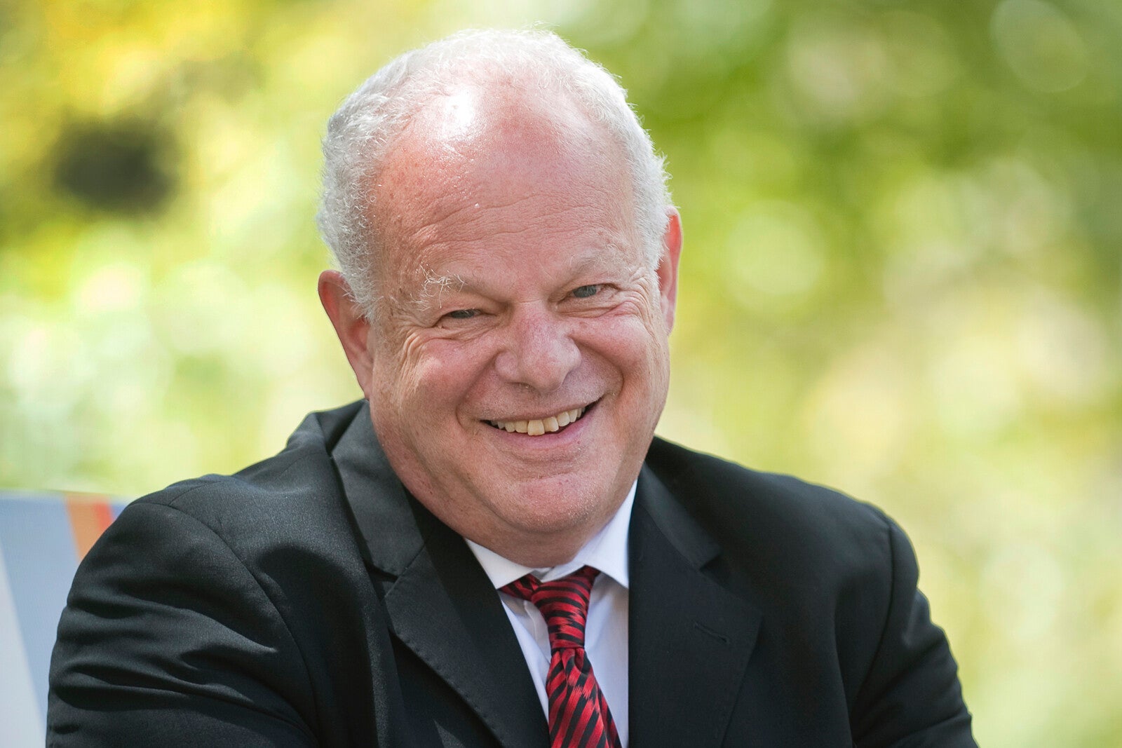 martin seligman