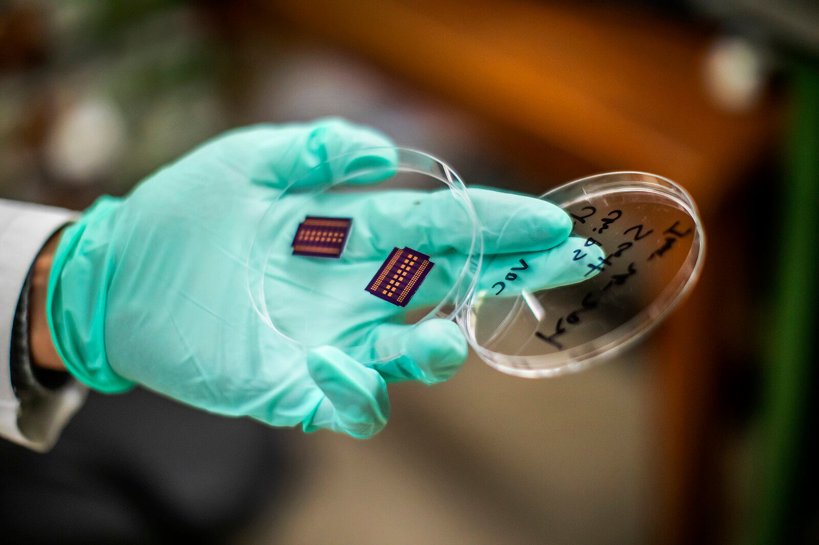 scott zhang holding electronic nose chips