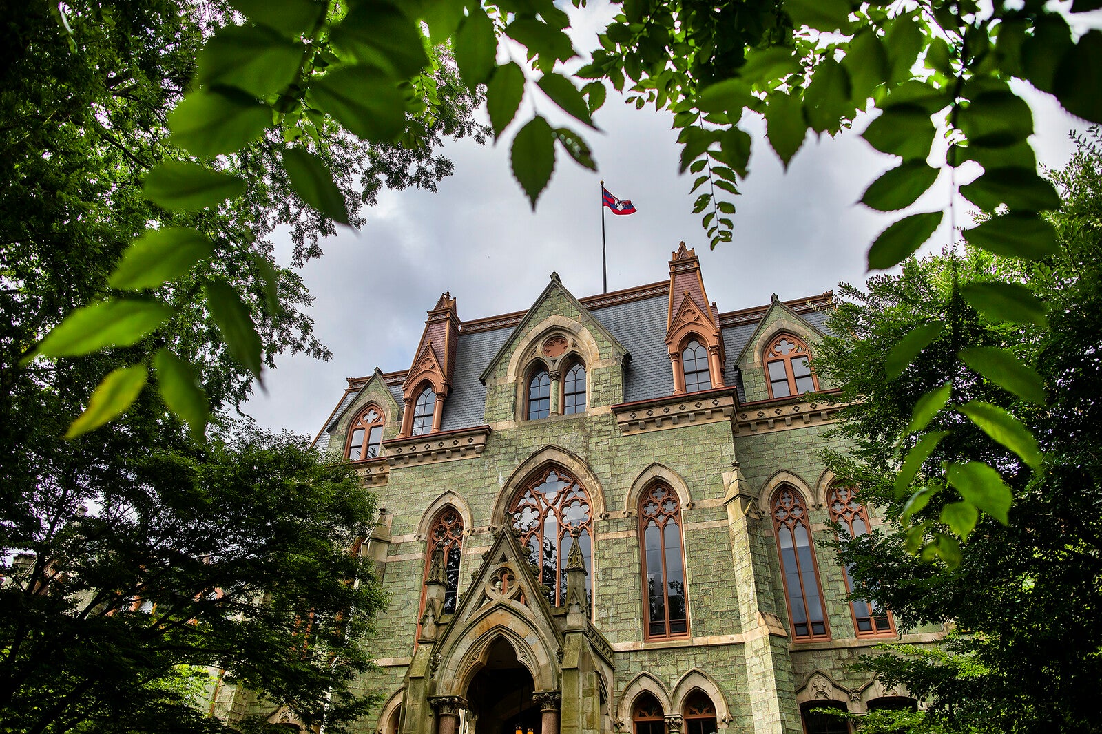 college hall looking through trees