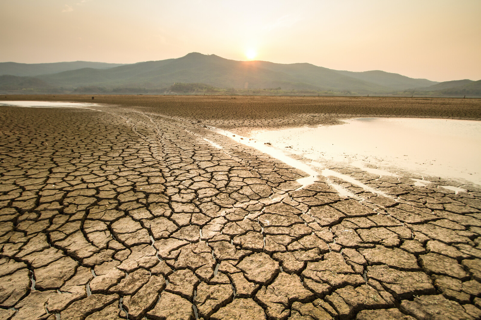desert during climate change