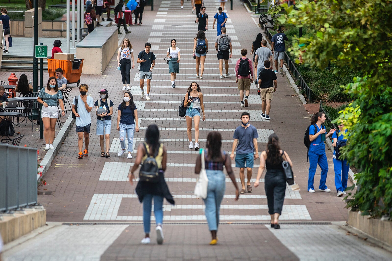 locust walk