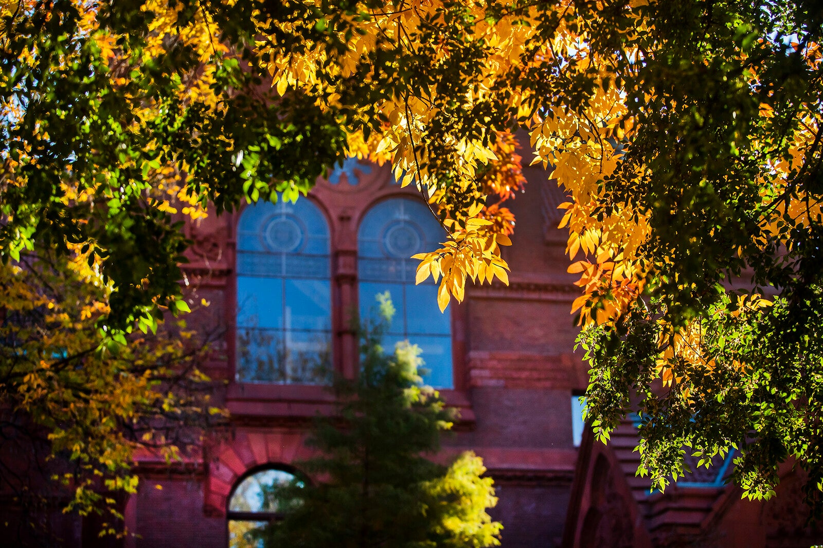fisher fine arts library behind colorful fall foliage
