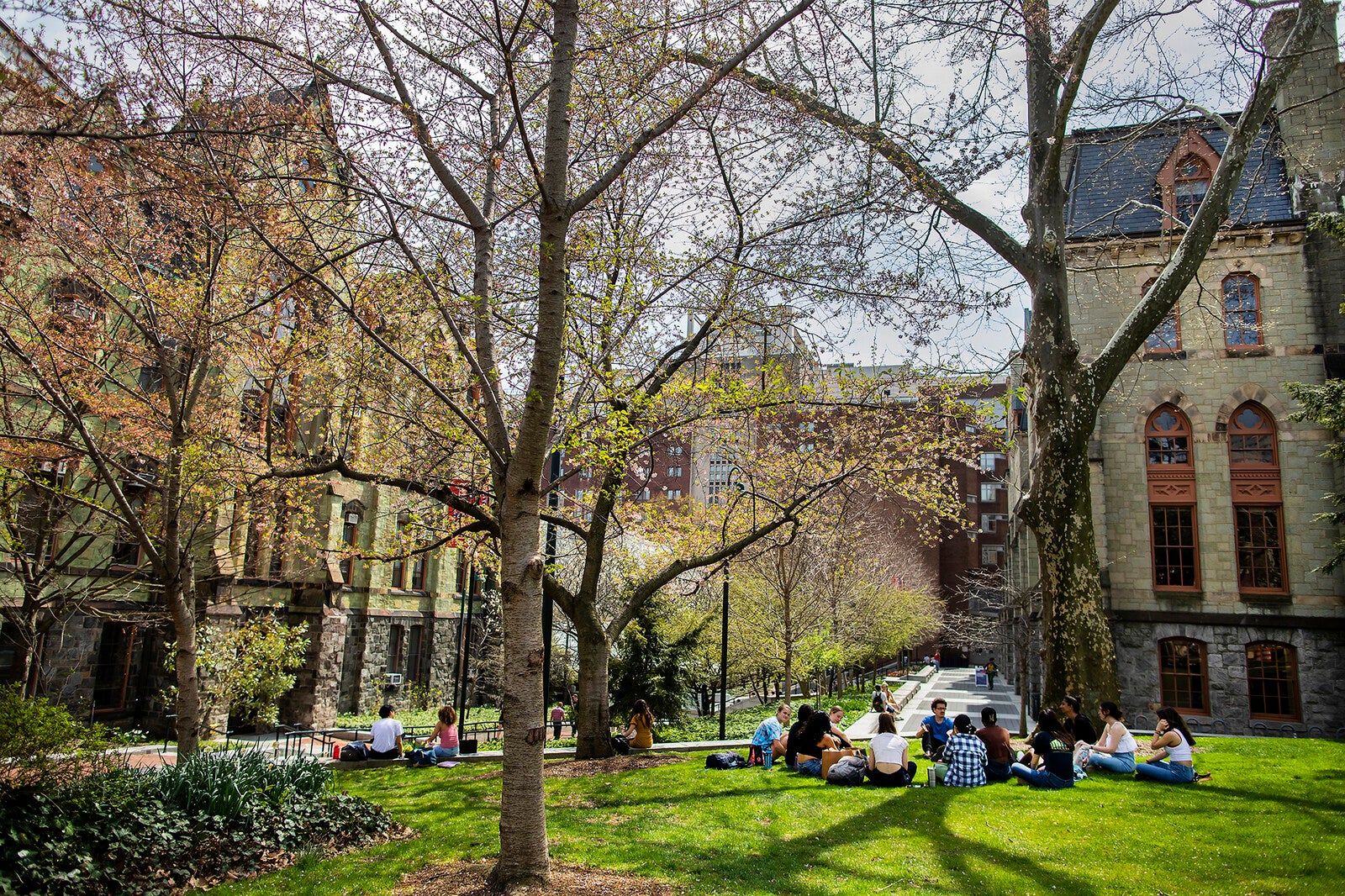 students on college green