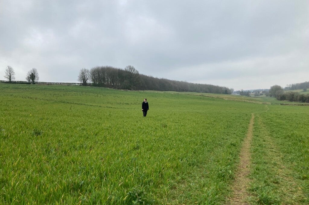 exploring a field with possible fossils found