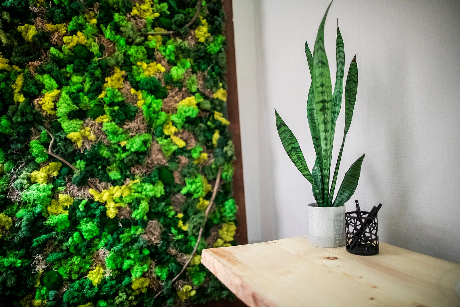 A soothing office environment furnished with natural materials, such as a greenwall, house plant and raw wood counters