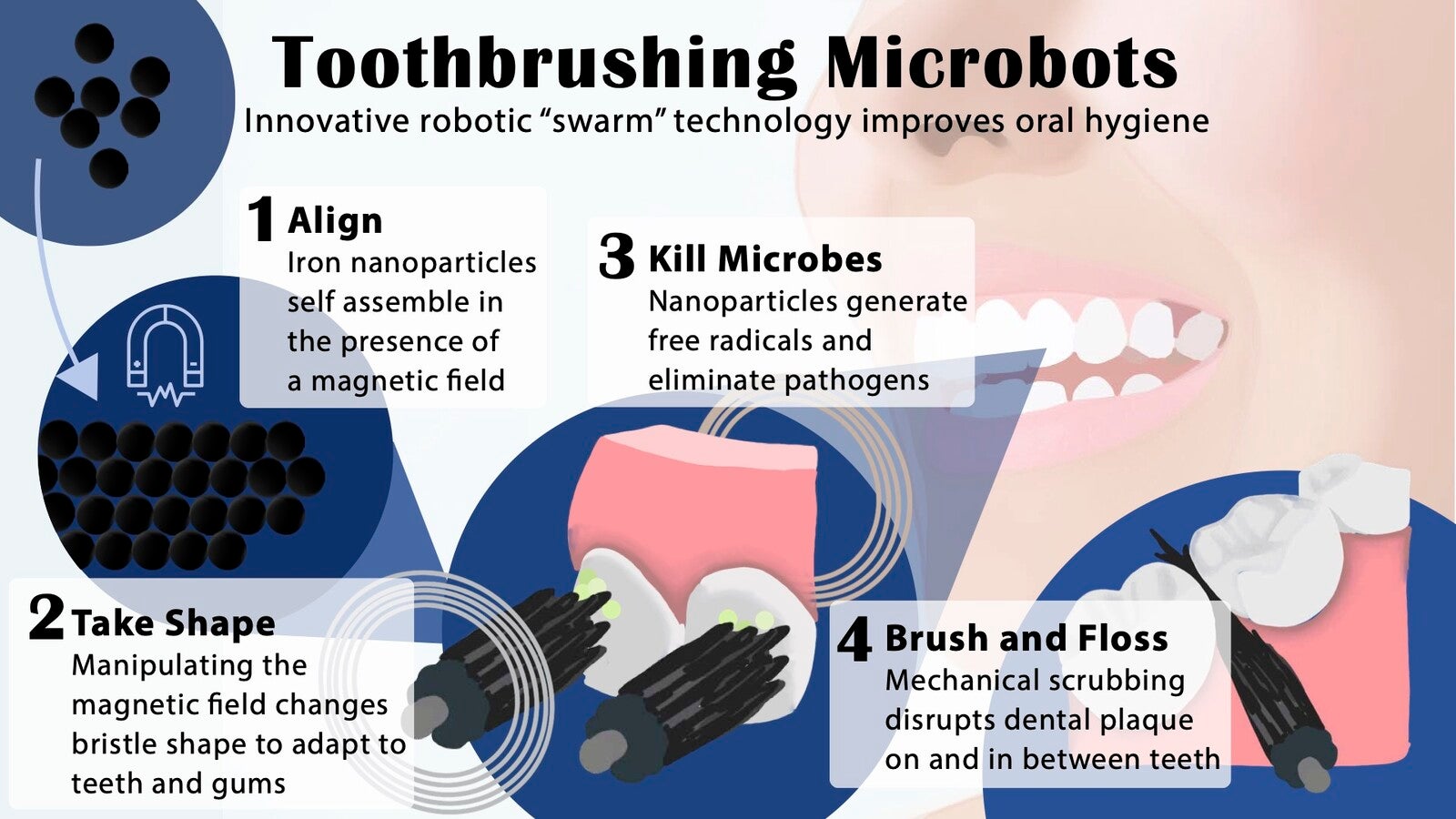 dental microbot infographic