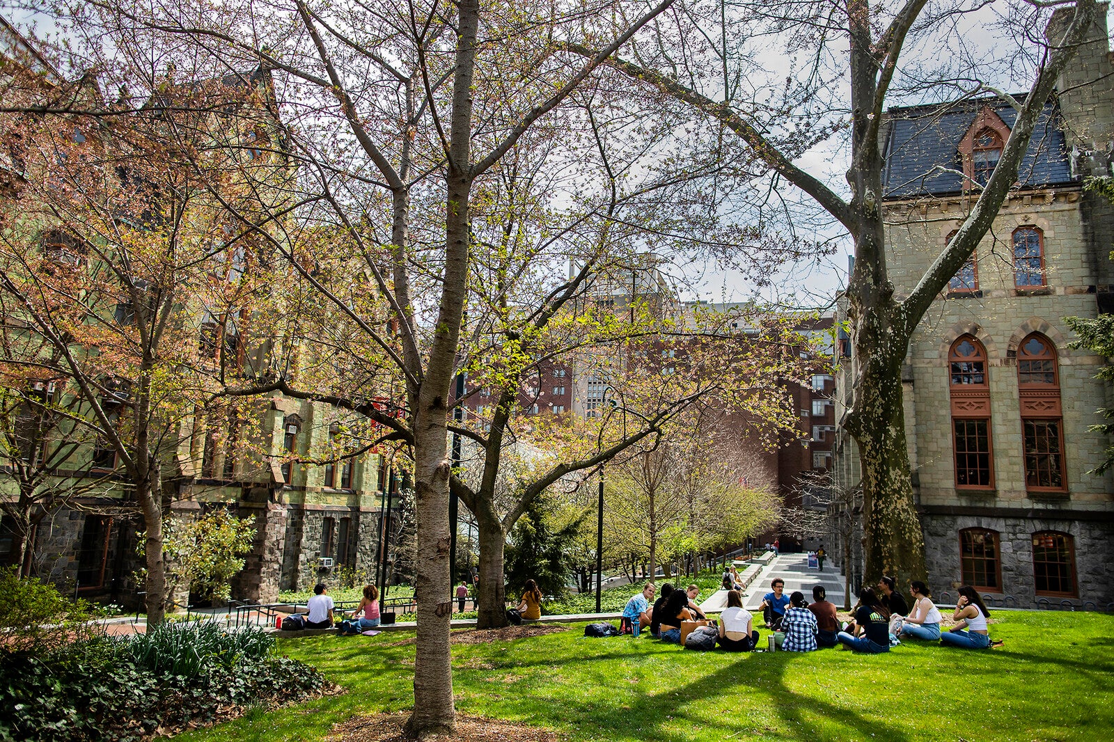 students sitting on college green