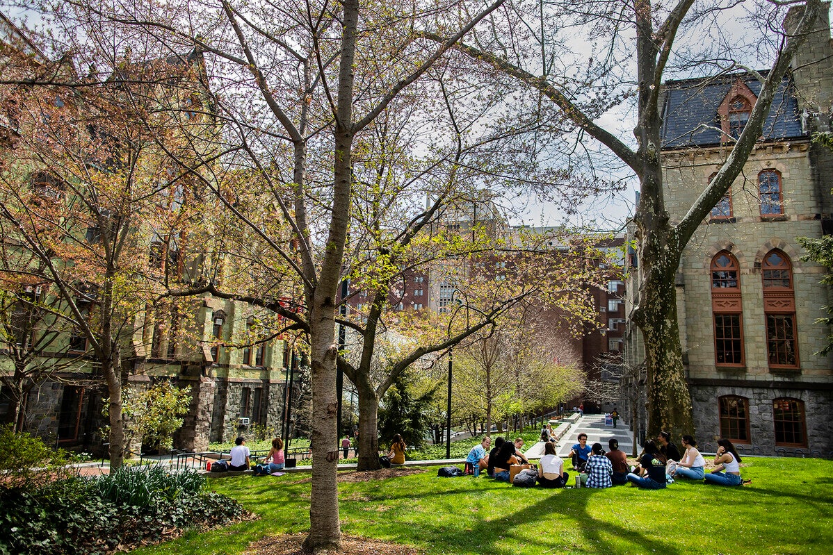 college green in the spring