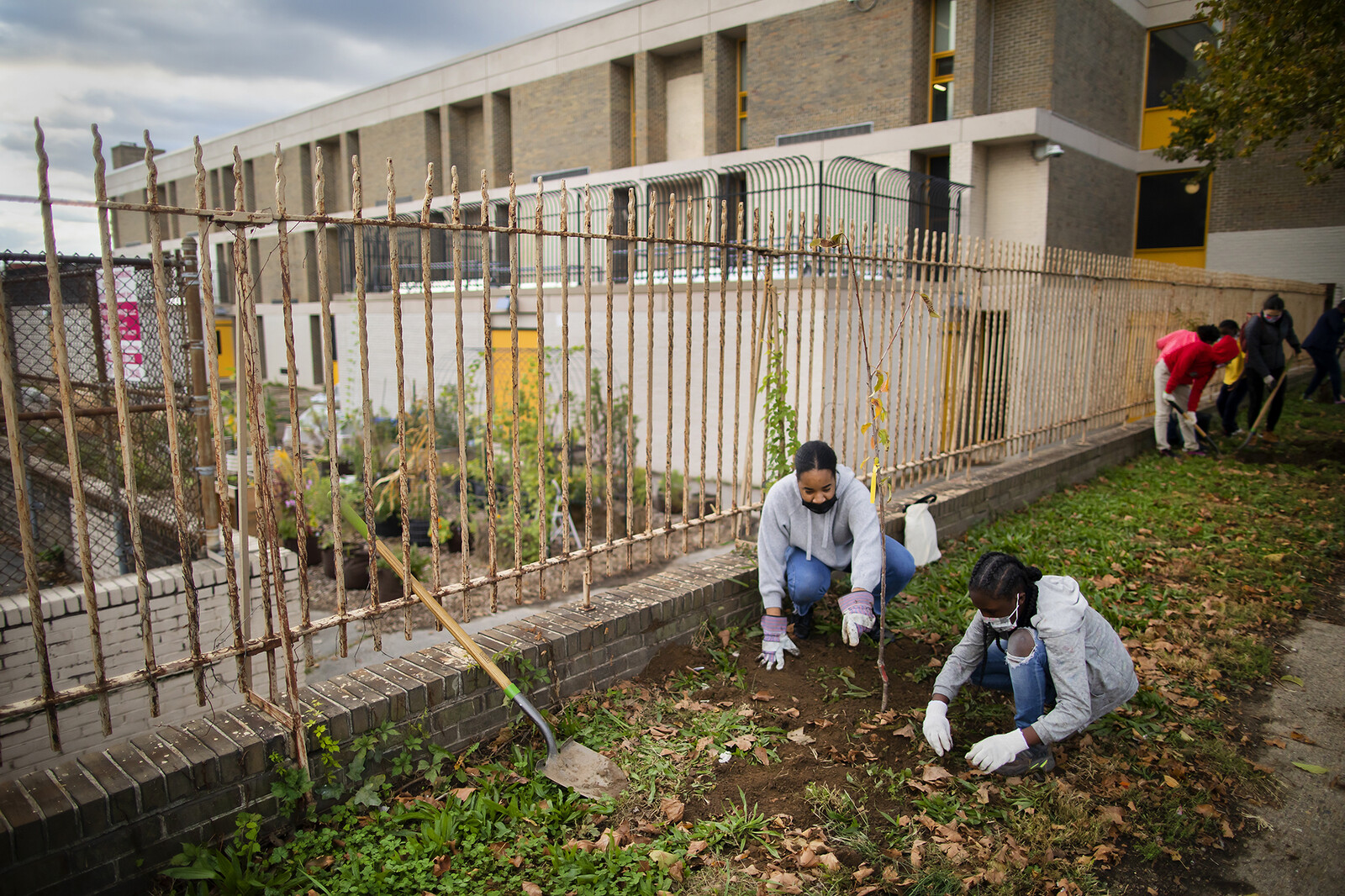students gardening in a school