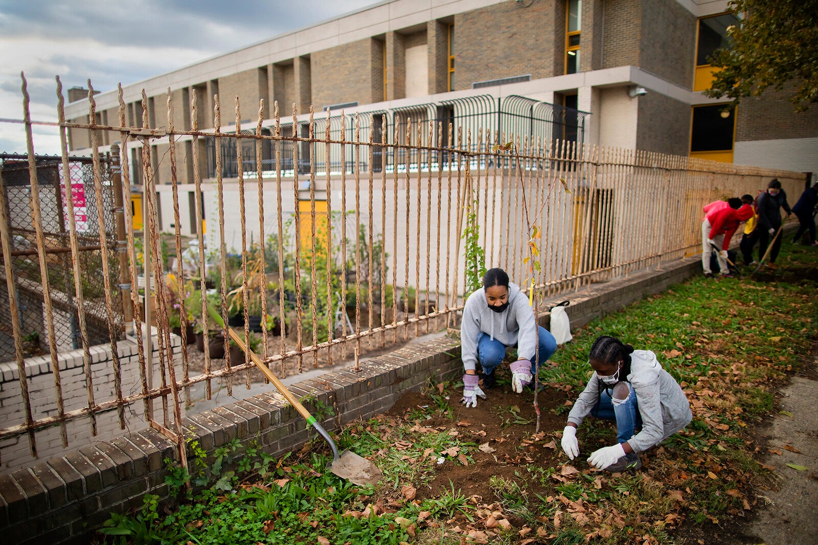 students gardening in a school