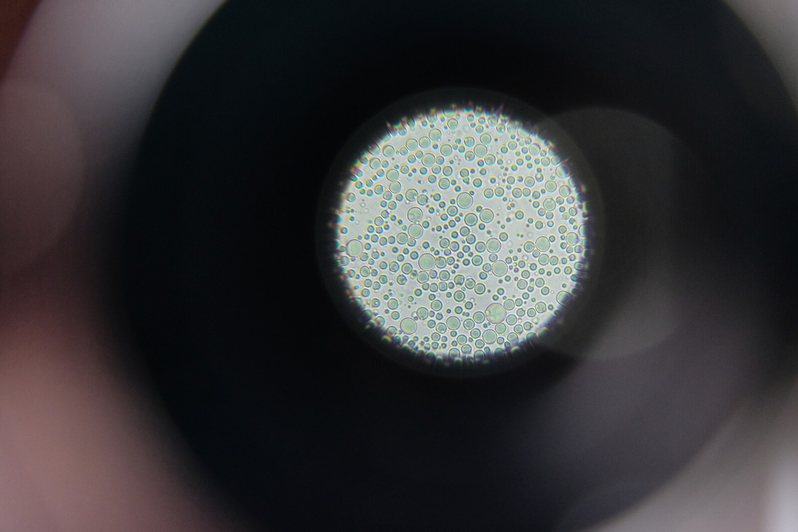 microscopic image of milk