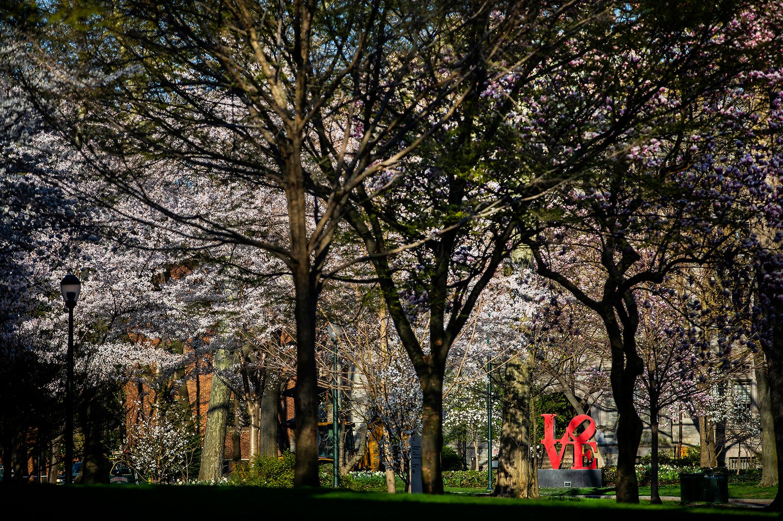 love statue on college green during spring time