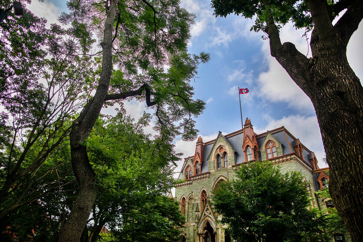 college hall surrounded by trees