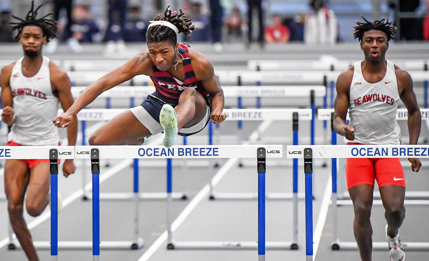 shane gardner running hurdles