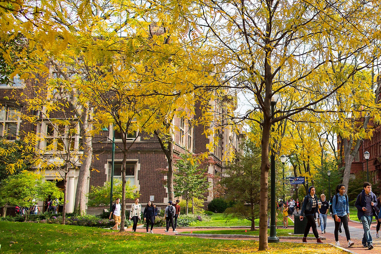campus in autumn