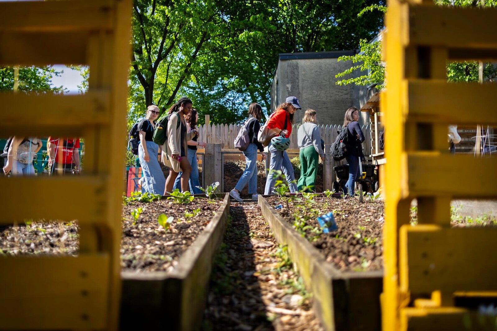 students exploring urban farms