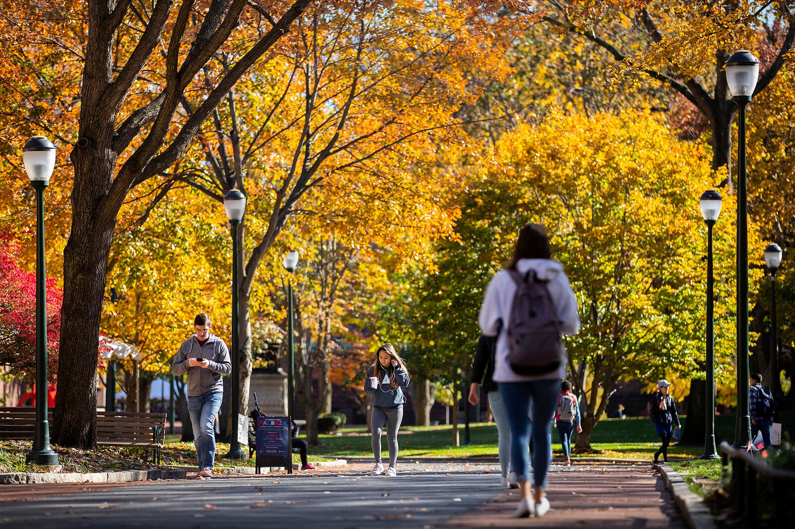 locust walk in autumn