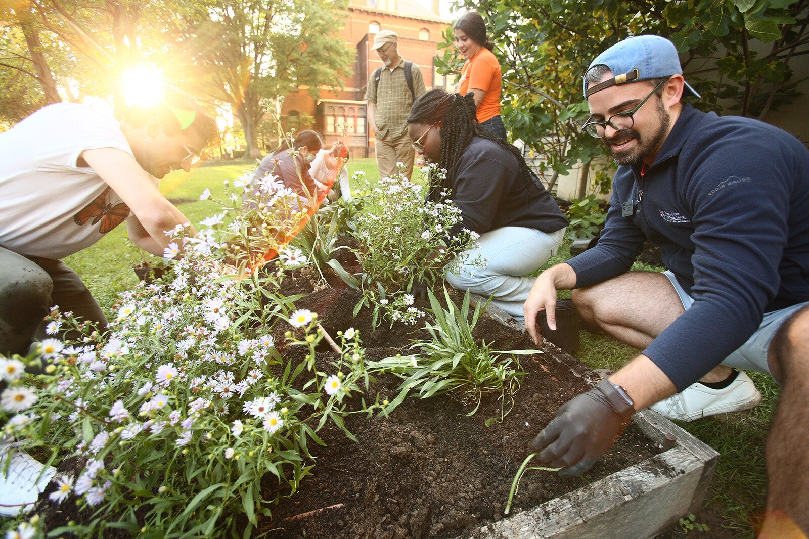 climate action, gardening