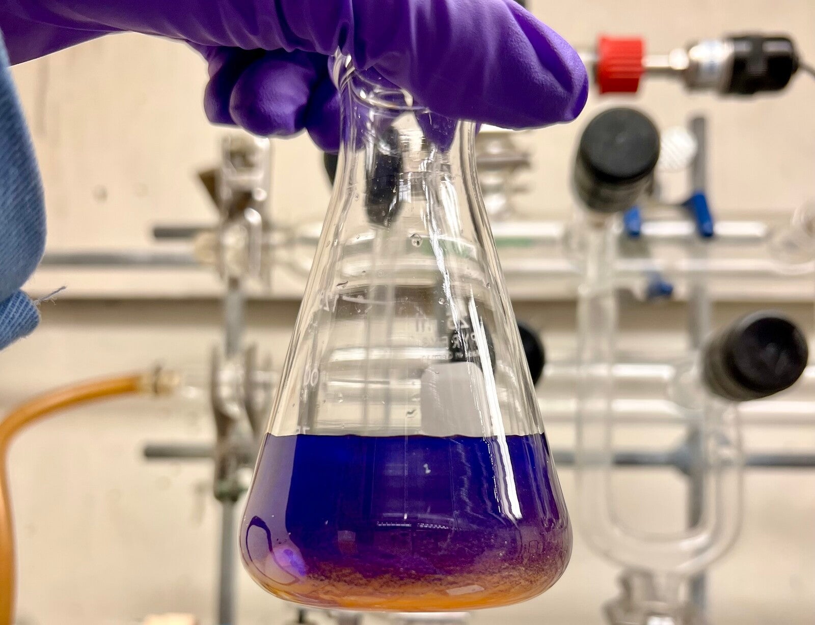 purple gloves holding flask