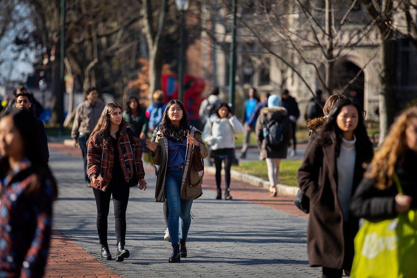 locust walk in autumn