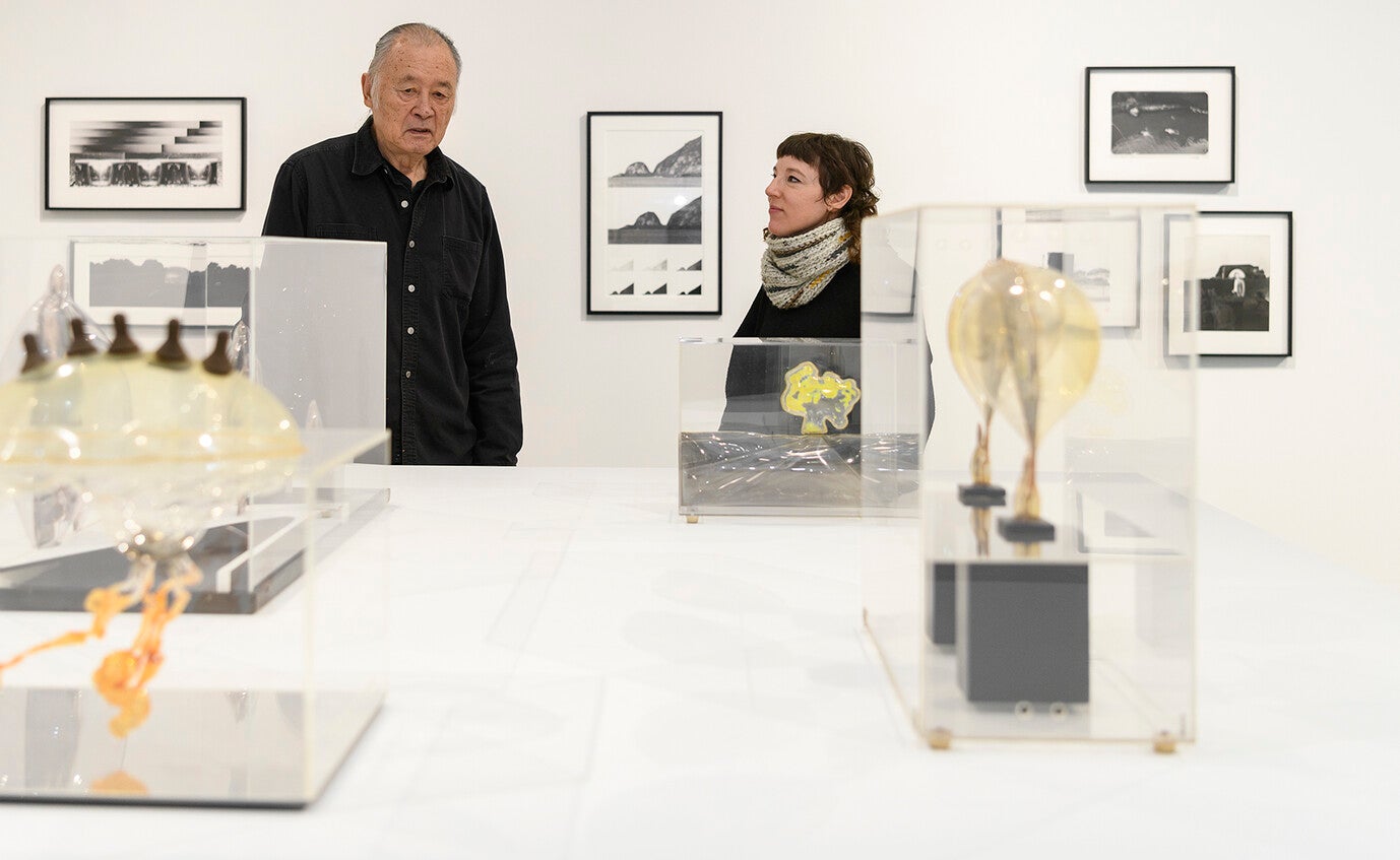 carl cheng exhibit