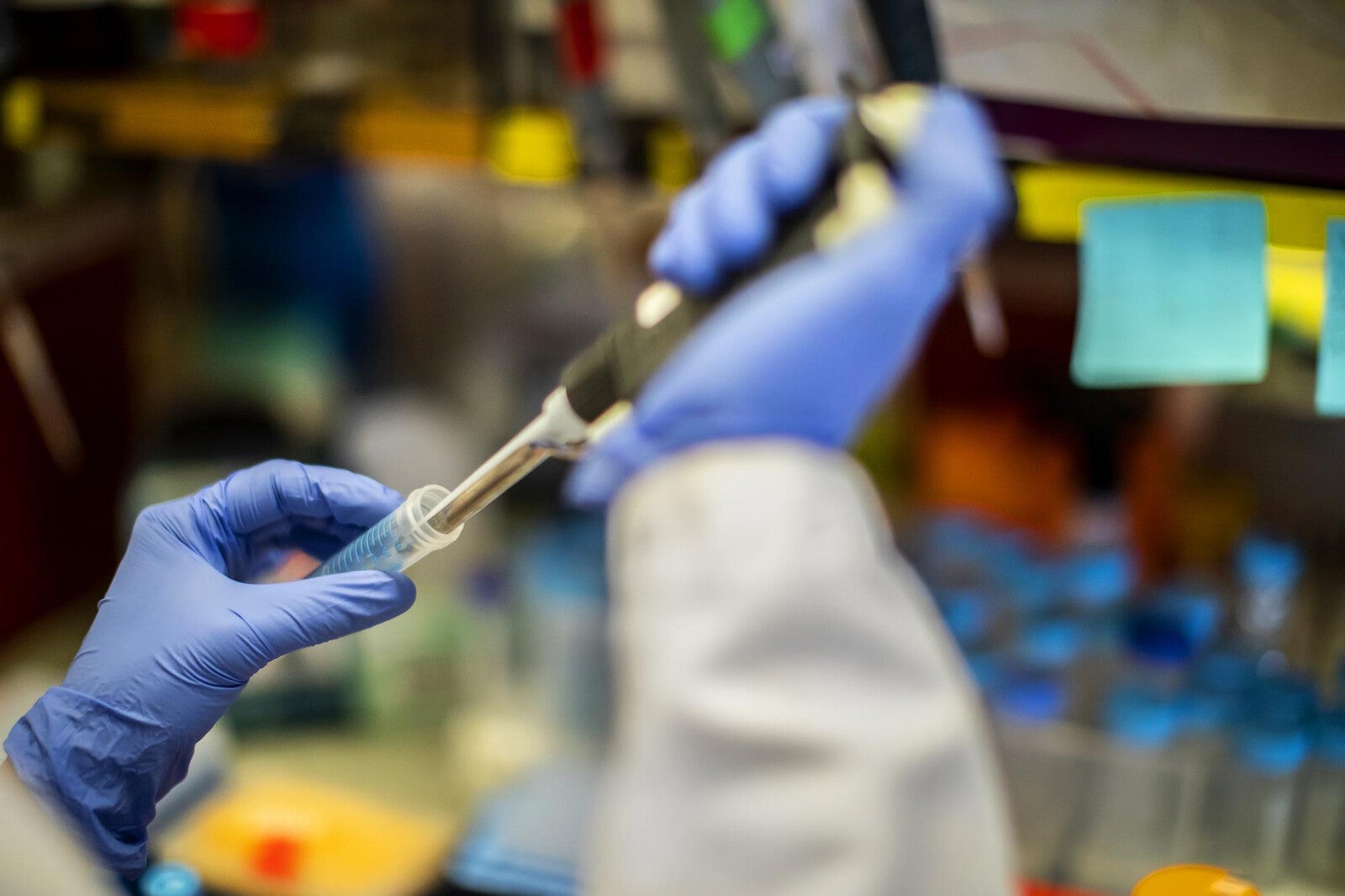 pipette with gloved hands