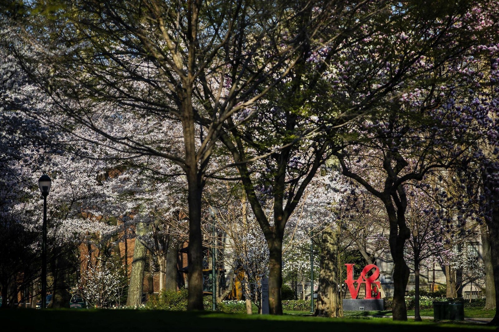 locust walk in springtime with love statue