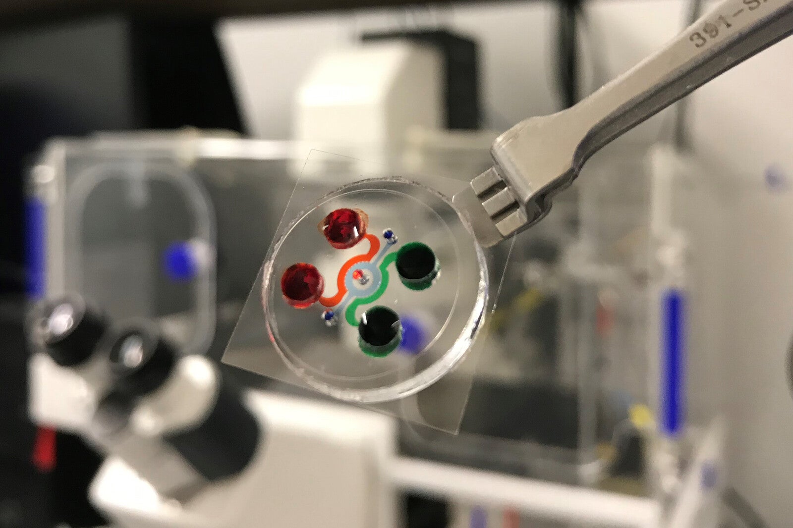 leukemia on a chip sample in lab