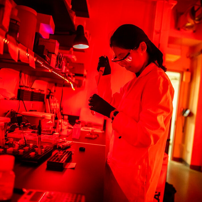 lab technician using pipette in red light