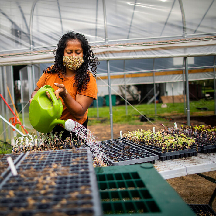Penn student volunteer watering a large series of seed beds at the teh Penn Farm