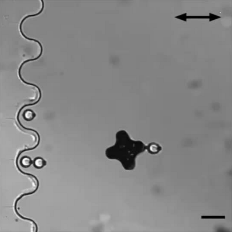 Visualization of tiny swimming robots that restructure materials on a microscopic level
